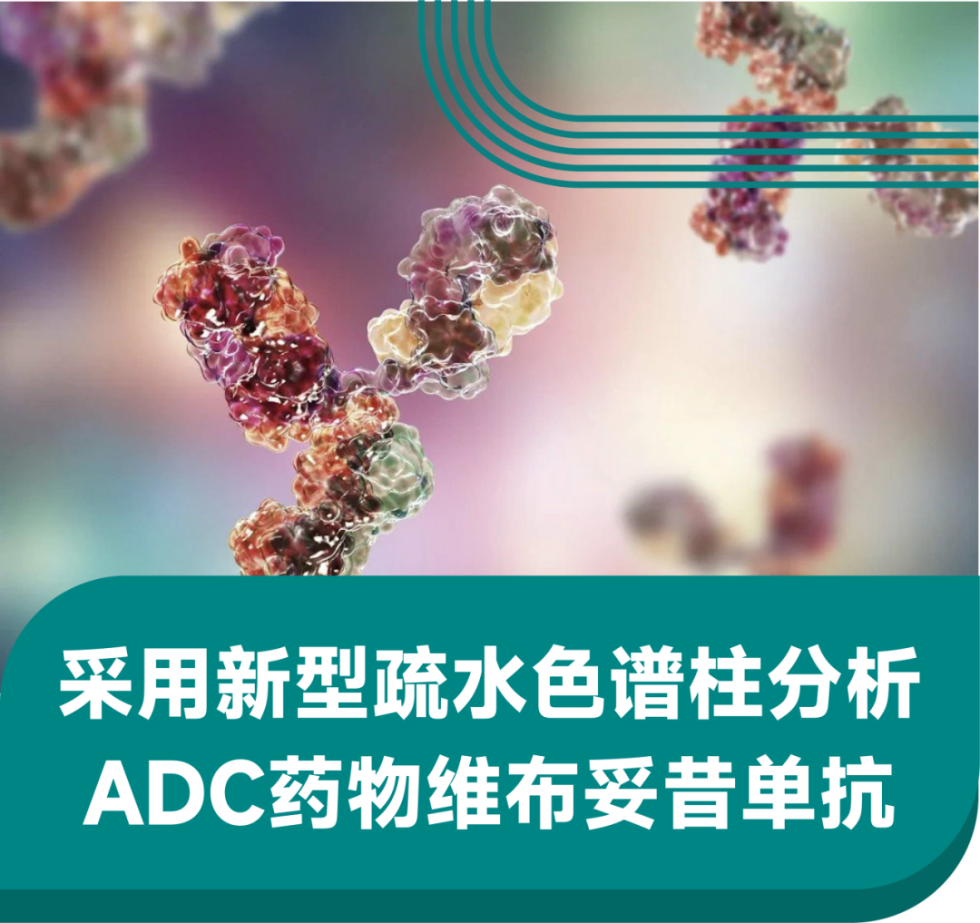 采用新型疏水色谱柱分析 ADC药物维布妥昔单抗
