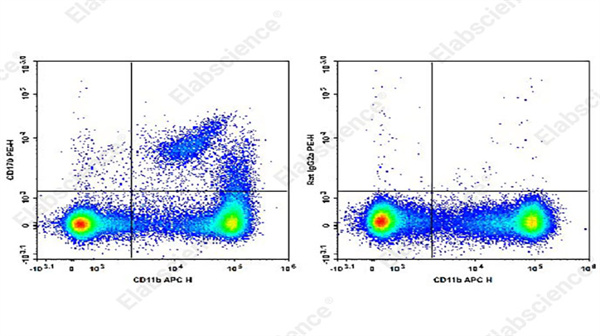Elabscience PE Anti-Mouse CD170 Antibody：精准解析免疫细胞，助力炎症研究新突破
