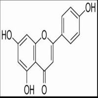 Apigenin  芹菜素
