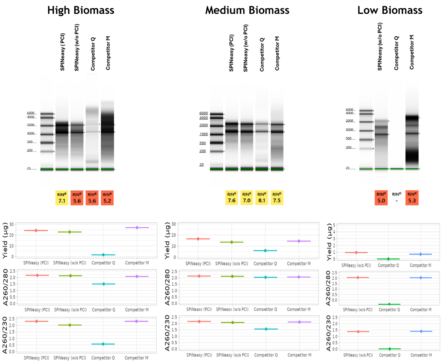MP SPINeasy™土壤RNA提取试剂盒11658505