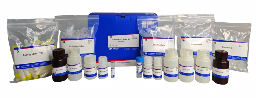 MP SPINeasy™土壤RNA提取试剂盒11658505