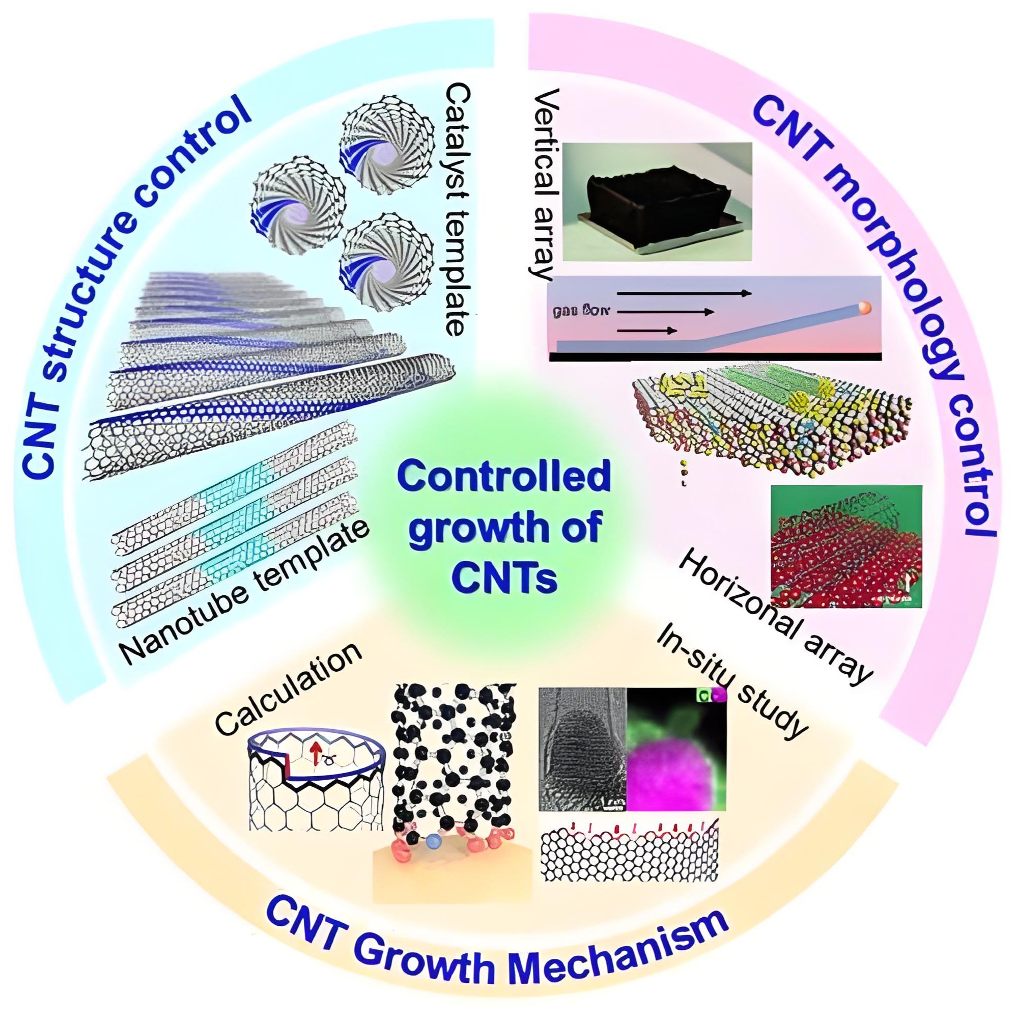 碳纳米管包载甲氧氯普胺 CNTs@MCP