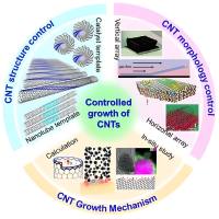碳纳米管包载甲氧氯普胺 CNTs@MCP