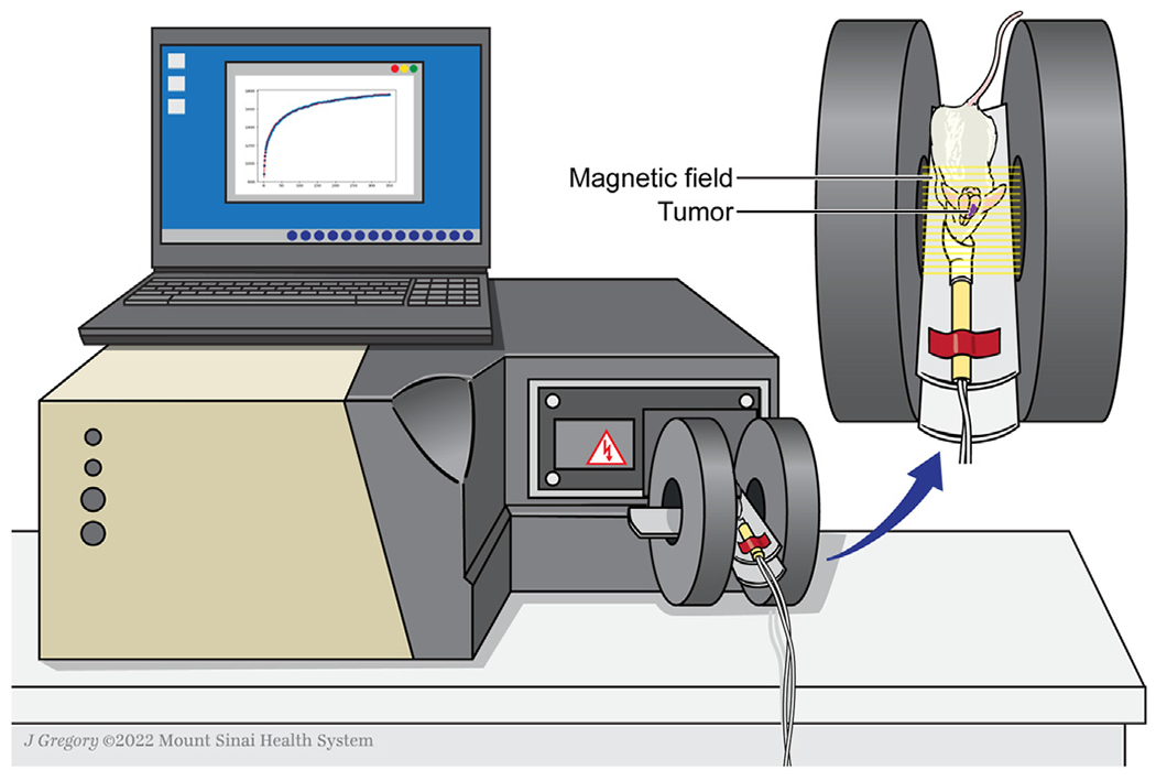 磁热治疗示意图。