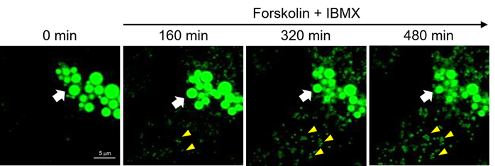 产品细节图片14