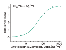 高质量ADC药物靶点蛋白