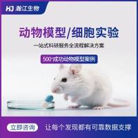 裸鼠成瘤细胞培养