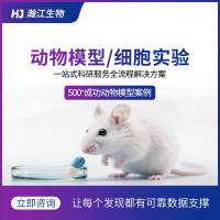 细胞共培养