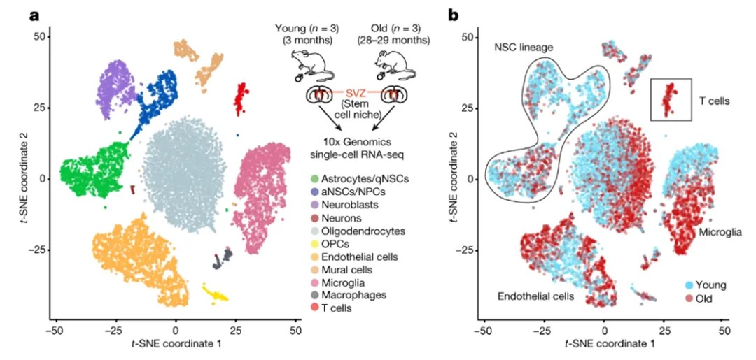 技术资料图片14