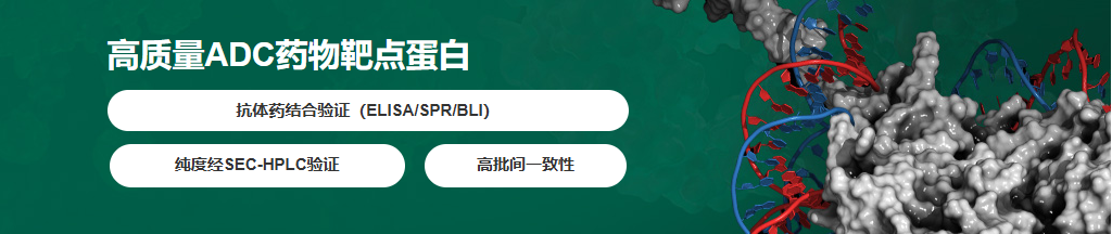 高质量ADC药物靶点蛋白