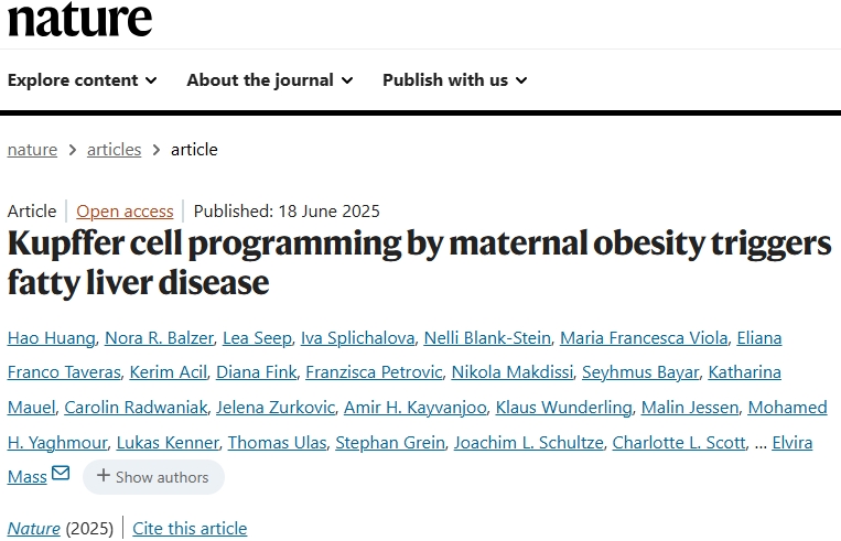 Nature：肝脏巨噬细胞被母体肥胖编程诱发子代脂肪肝