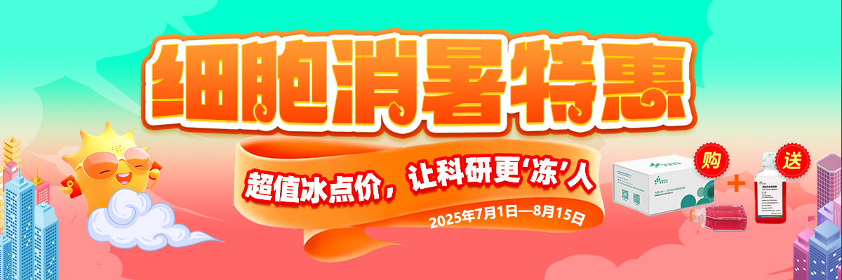 MH7A(人类风湿性成纤维样滑膜细胞)