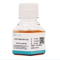 间充质干细胞专用胎牛血清