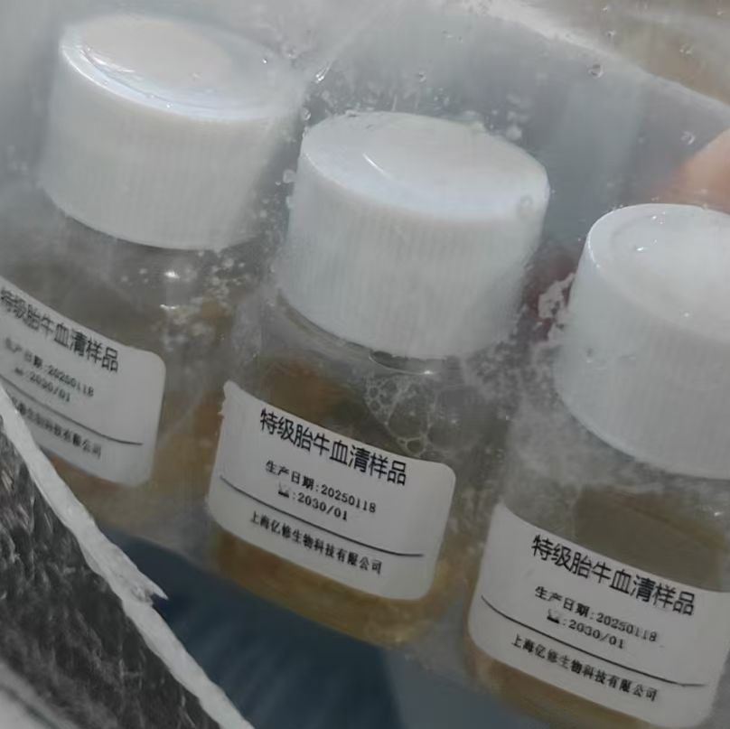 特级胎牛血清FBS