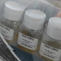 特级胎牛血清FBS