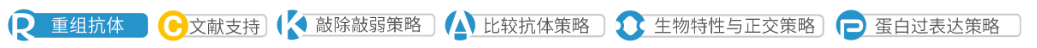 新闻图片3