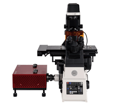 韩国LCI推出全新QUADSCAN共聚焦显微镜用于活细胞成像