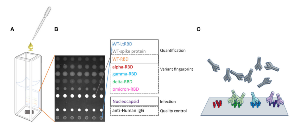 SCIENION 如何推动未来诊断制造:精准点样在诊断中的应用