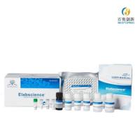 PE Anti-Human CD3 Antibody[OKT-3]