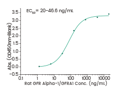 高质量ADC药物靶点蛋白