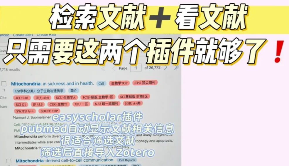 简直王炸！！Zotero联用这两个插件，直接开挂