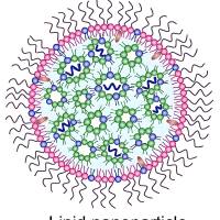 负载替莫唑胺和miRNA的阳离子脂质体纳米颗粒 miRNA/TMZ@LNP