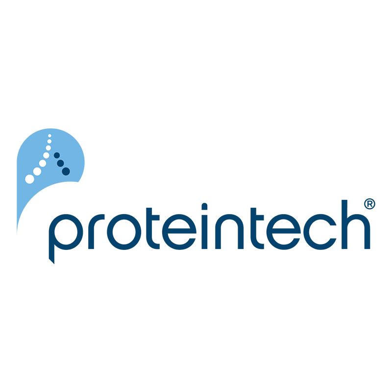 Proteintech ·流式抗体5折抢跑三稳”重组流抗做流式更踏实