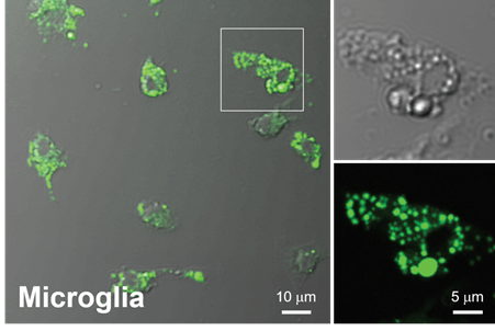 产品细节图片16