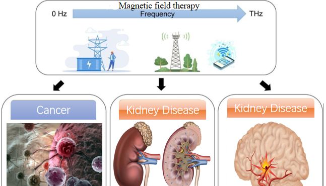发文新蓝海—病理微环境磁能重编程技术，多维度深入疾病调控机制，这个研究风口入股不亏
