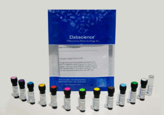 PE Anti-Human CD3 Antibody[OKT