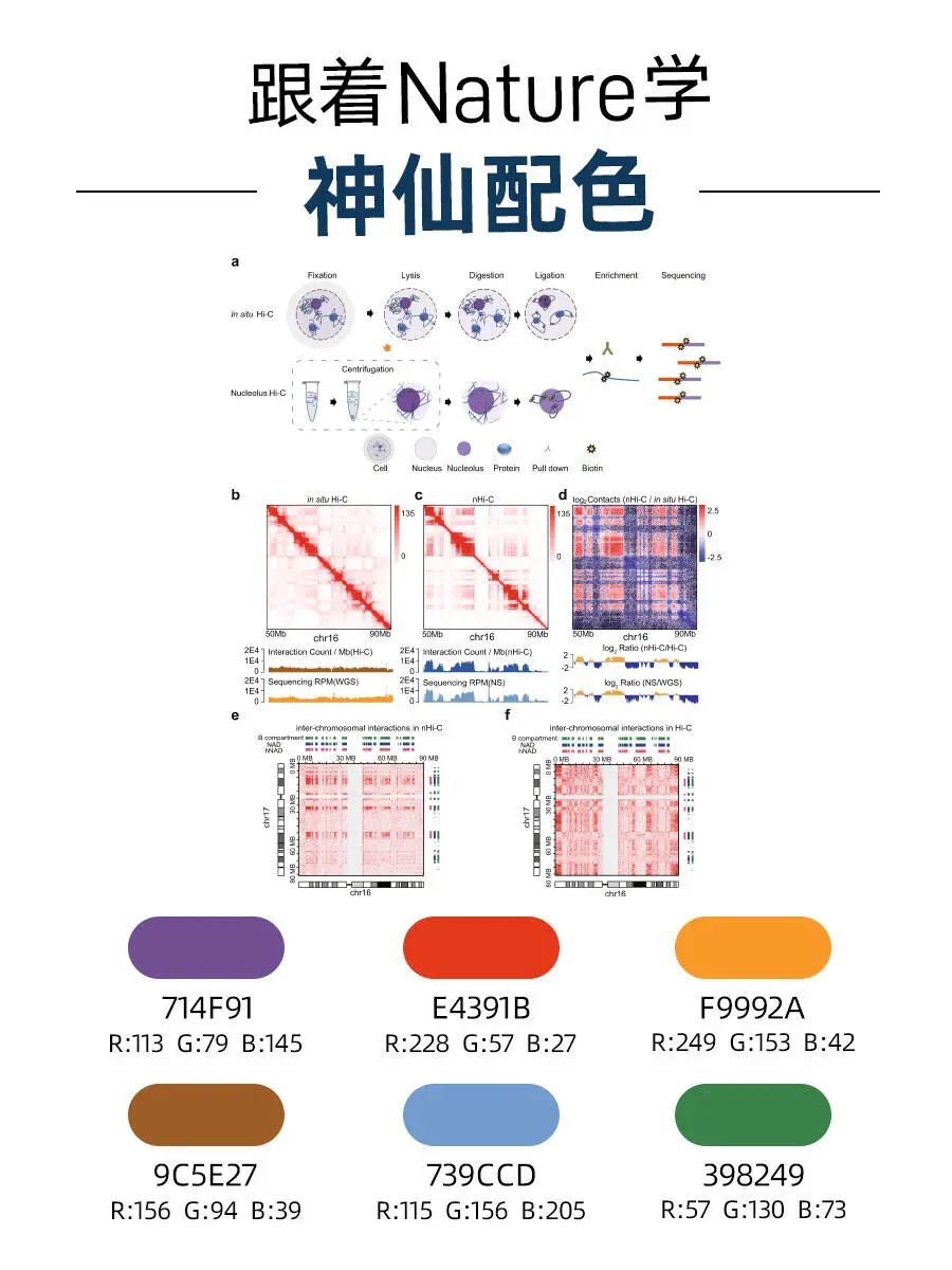 顶刊配色方案大公开！让你的论文图表更具高级感