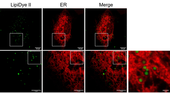 产品细节图片11
