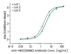 高质量ADC药物靶点蛋白