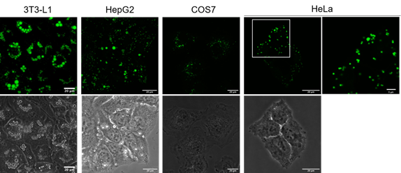 产品细节图片10