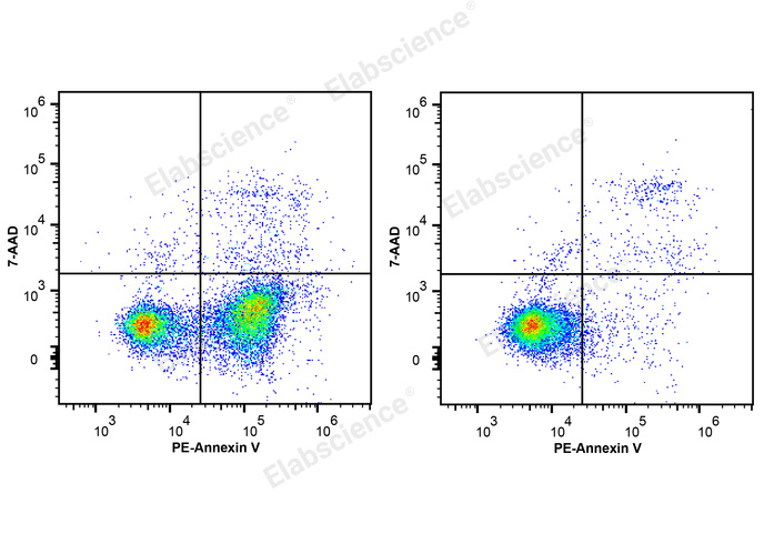 Elabscience Annexin V-PE/7-AAD细胞凋亡检测试剂盒——精准区分凋亡与坏死，15分钟快速检测！