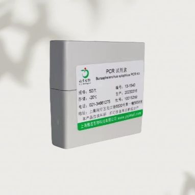 EasternEquineEncephalomyelitisVirus(EEEV)东部马脑脊髓炎病毒RT-PCR试剂盒