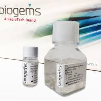 BioGems ITSE培养基添加物