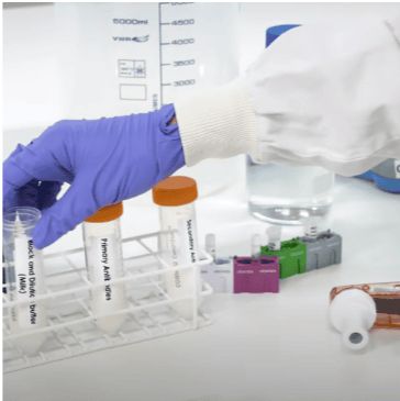 抗人转甲状腺素蛋白淀粉样变性抗体(5A1)