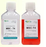 BASO /CSTI A2501P05C 无血清细胞培养基