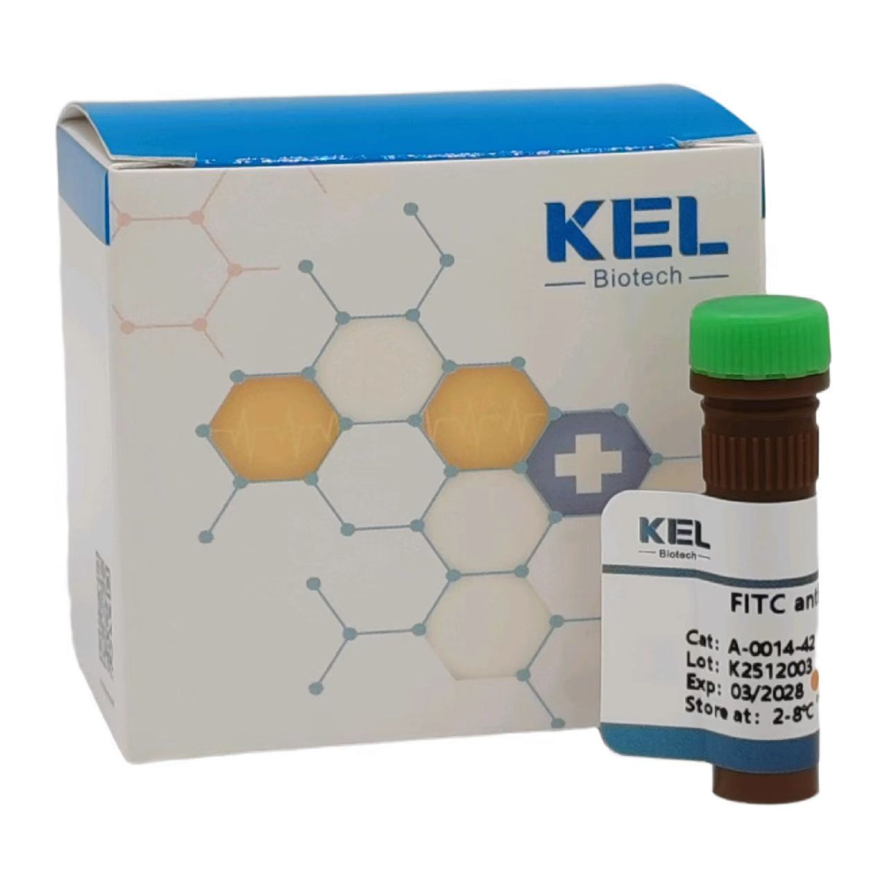 FITC anti-human CD8a