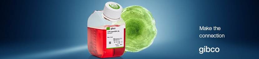 胰蛋白酶在细胞解离与培养中的应用-赛默飞