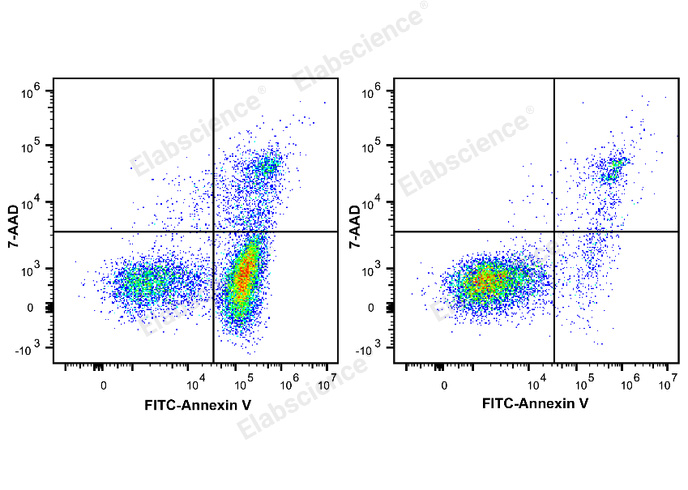 Elabscience Annexin V-FITC/7-AAD细胞凋亡检测试剂盒——精准区分凋亡与坏死细胞