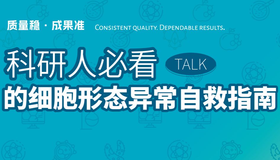 细胞又 “变脸” 了？别慌！科研人必看的细胞形态异常自救指南