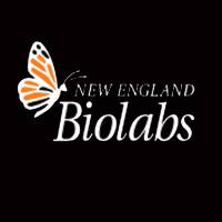 NEB E6300S cDNA第一链合成试剂盒 逆转录