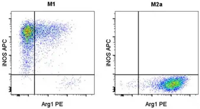 图表, 图示

AI 生成的内容可能不正确。