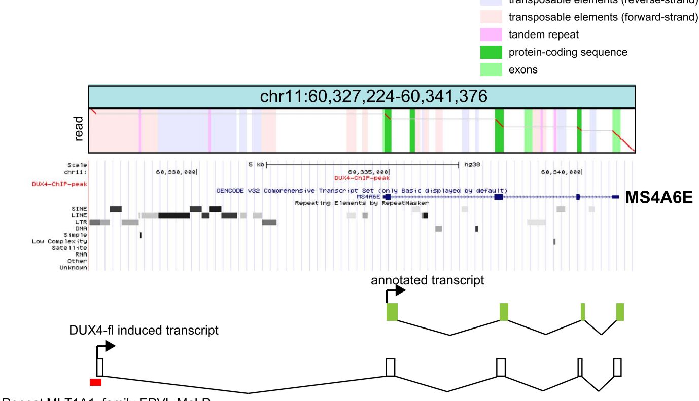 融合基因检测的最终解决方案——Nanopore Direct RNA Sequencing解锁融合基因检测新范式