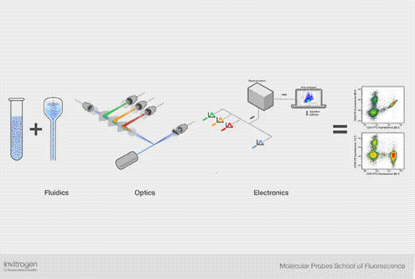 图示

AI 生成的内容可能不正确。