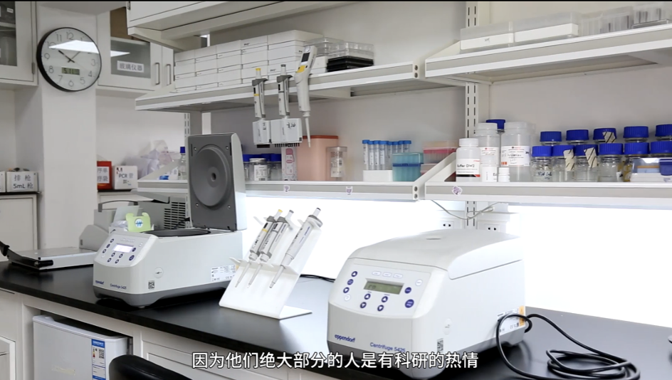 大家拼命追的985/211，追的是什么？