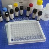 HerpesvirusSimiae(HVS)猿疱疹病毒PCR试剂盒价格