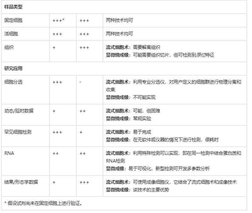 表格

AI 生成的内容可能不正确。